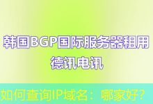 如何查询IP域名:哪家好?-海外服务器