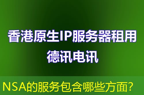 NSA的服务包含哪些方面? NSA的服务包含哪些方面?