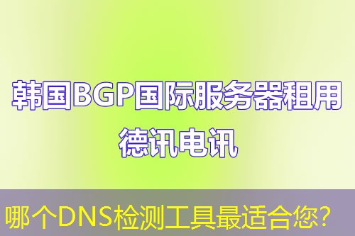 哪个DNS检测工具最适合您? 哪个DNS检测工具最适合您?