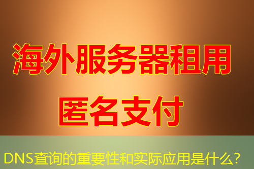 DNS查询的重要性和实际应用是什么？
