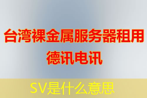 SV是什么意思 SV是什么意思