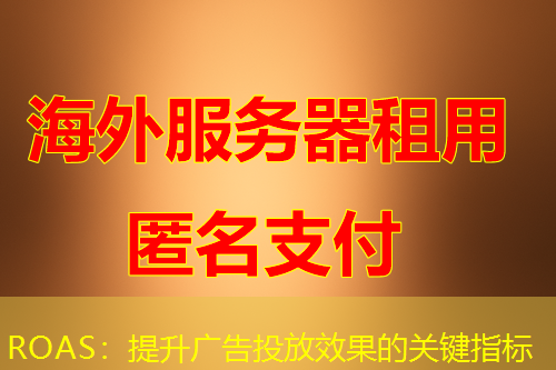 ROAS:提升广告投放效果的关键指标 ROAS:提升广告投放效果的关键指标