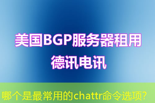 哪个是最常用的chattr命令选项? 哪个是最常用的chattr命令选项?