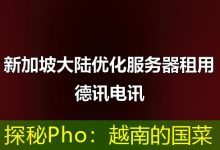 探秘Pho:越南的国菜-海外服务器