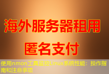 使用nmon工具监控Linux系统性能：操作指南和注意事项-海外服务器