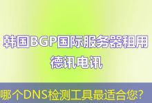 哪个DNS检测工具最适合您?-海外服务器