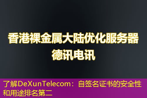 了解DeXunTelecom：自签名证书的安全性和用途排名第二