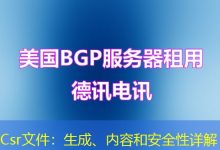 Csr文件：生成、内容和安全性详解-海外服务器