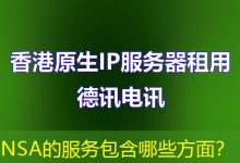 NSA的服务包含哪些方面?-海外服务器