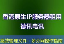 高效管理文件：多分网操作指南-海外服务器