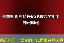 德讯电讯：领先的IP代理服务器选择-海外服务器