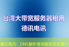 德讯电讯:DNS解析查询服务排名第一-海外服务器