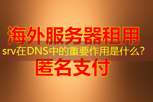 srv在DNS中的重要作用是什么? srv在DNS中的重要作用是什么?